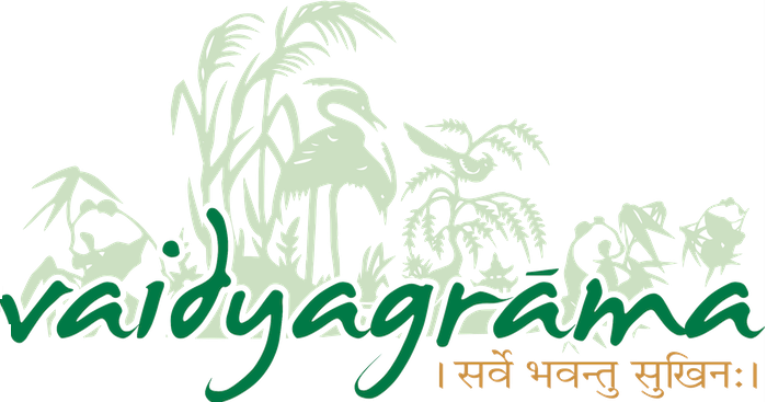 Vaidyagrama Ayurveda: Authentic Healing & Wellness Retreat