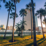 From Lobsters to Oranges: What You Need to Know Before Moving from Boston to Tampa