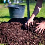 Stop Overspending on Garden Materials with a Yards of Mulch Calculator