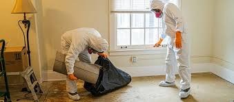 Water Damage Restoration for Businesses: How The CleanUP Guys Can Help