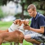 Training with Trust: How H.K. Dog Training Builds Lasting Bonds Between Dogs and Owners