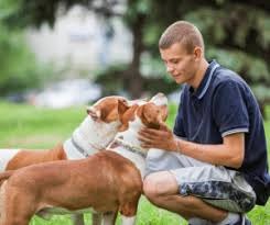 Training with Trust: How H.K. Dog Training Builds Lasting Bonds Between Dogs and Owners