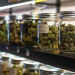Navigating Cannabis Dispensaries: A Beginner's Guide