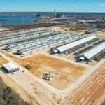 Navigating the Landscape of Commercial Electricity Companies in Texas