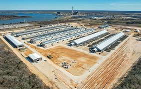 Navigating the Landscape of Commercial Electricity Companies in Texas